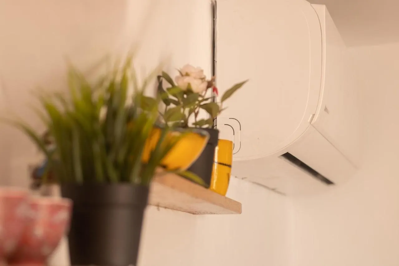 Malagueña Salerosa Apartamento - casa mata de 1 a 4 dormitorios con terraza o patio propio Málaga España